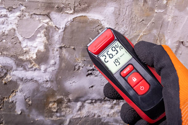 Best Crawl Space Mold Removal  in Winfield, KS