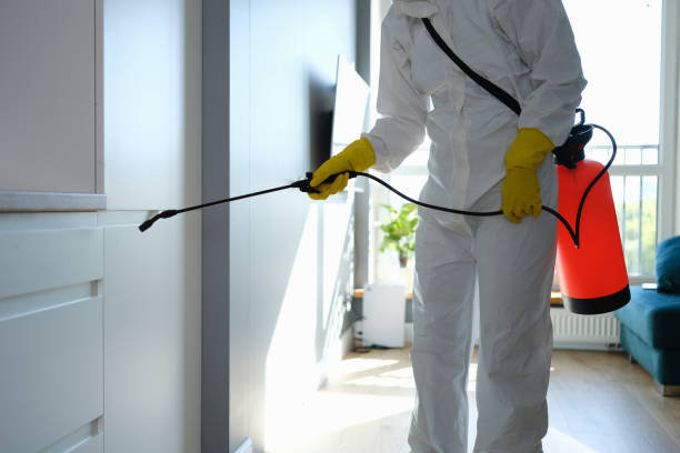 Best Mold Removal and Inspection  in Winfield, KS
