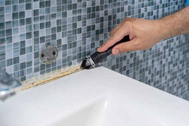 Best Same-Day Mold Removal  in Winfield, KS